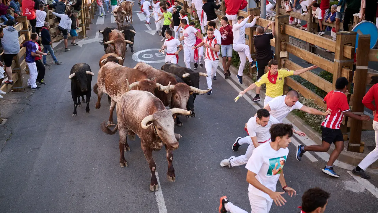 Segundo encierro de fiestas de Tudela 2025 con toros de la ganadería de Herederos de Gregorio Garzón Valdenebro (Jaén). PABLO LASAOSA