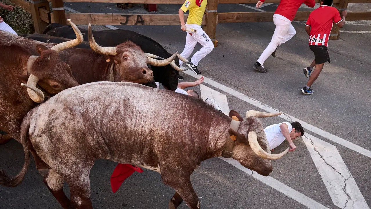 Segundo encierro de fiestas de Tudela 2025 con toros de la ganadería de Herederos de Gregorio Garzón Valdenebro (Jaén). PABLO LASAOSA