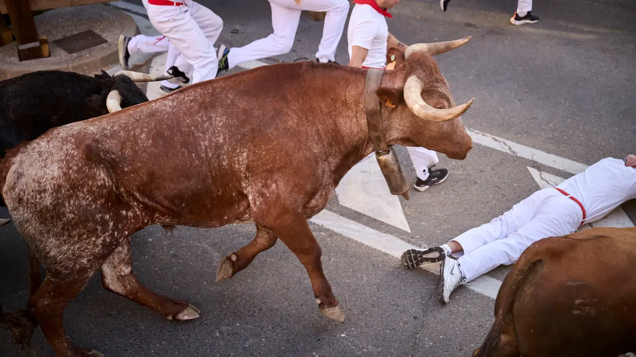 Segundo encierro de fiestas de Tudela 2025 con toros de la ganadería de Herederos de Gregorio Garzón Valdenebro (Jaén). PABLO LASAOSA