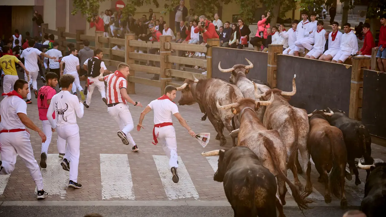 Segundo encierro de fiestas de Tudela 2025 con toros de la ganadería de Herederos de Gregorio Garzón Valdenebro (Jaén). PABLO LASAOSA
