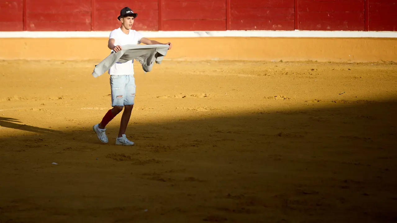 Suelta de vaquillas de la ganadería de Enrique Domínguez en la plaza de toros de Tudela tras el segundo encierro de fiestas de Tudela 2025. IÑIGO ALZUGARAY