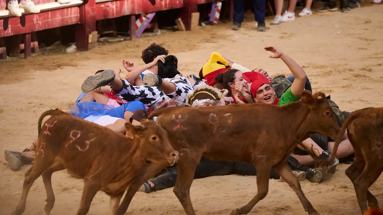 Grand Prix de la juventud con las cuadrillas de Puente la Reina durante sus fiestas de 2025. PABLO LASAOSA