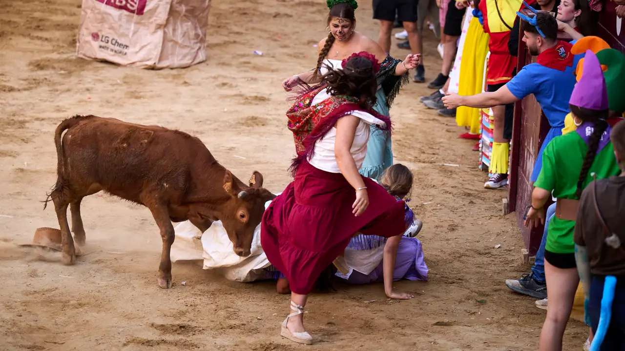 Grand Prix de la juventud con las cuadrillas de Puente la Reina durante sus fiestas de 2025. PABLO LASAOSA