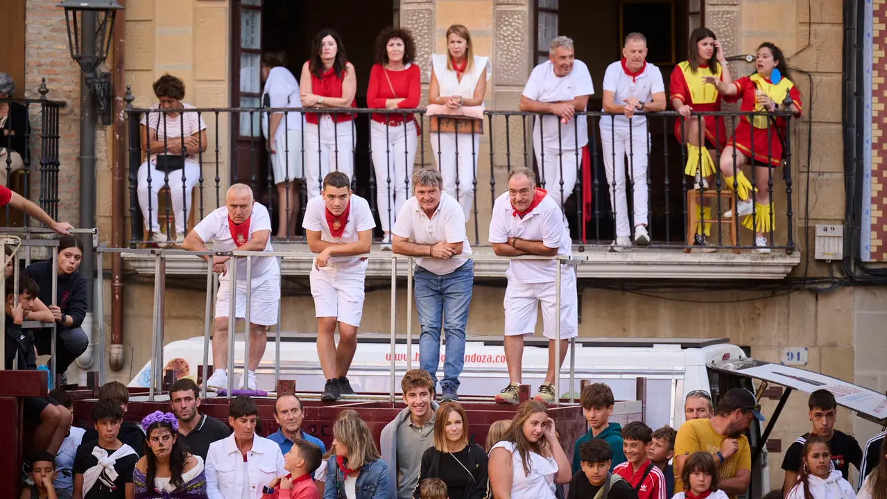 Suelta de vacas de la ganadería de Alba Reta en fiestas de Puente la Reina 2025. PABLO LASAOSA