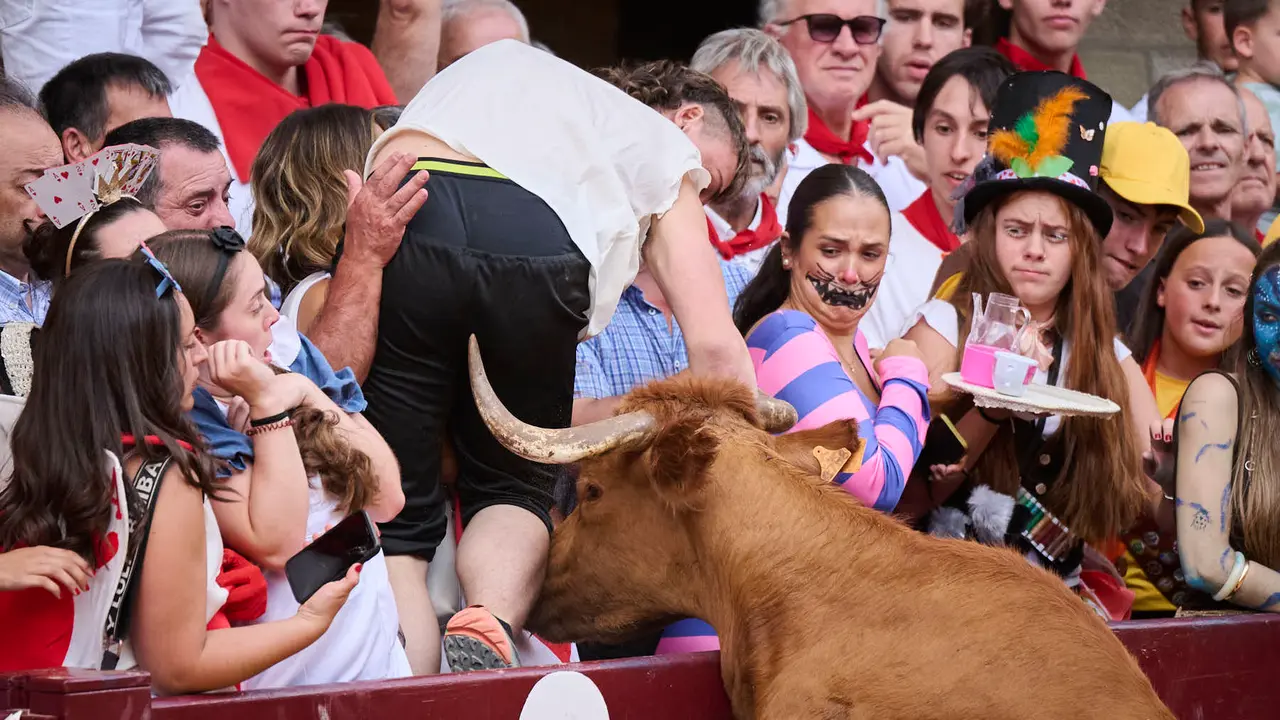 Suelta de vacas de la ganadería de Alba Reta en fiestas de Puente la Reina 2025. PABLO LASAOSA
