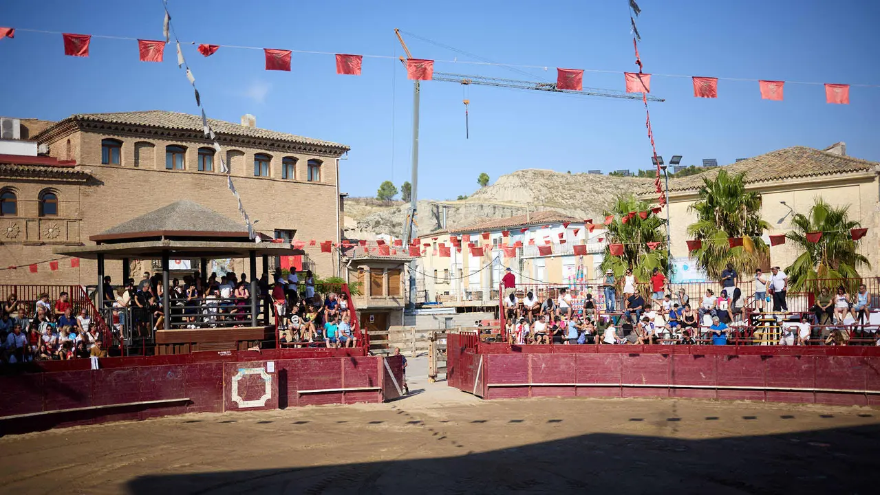 Vacas en la Plaza de Toros durante las fiestas de Arguedas 2025 tras el encierro del Estrecho con la ganaderia de Víctor Ustárroz de Arguedas. IÑIGO ALZUGARAY