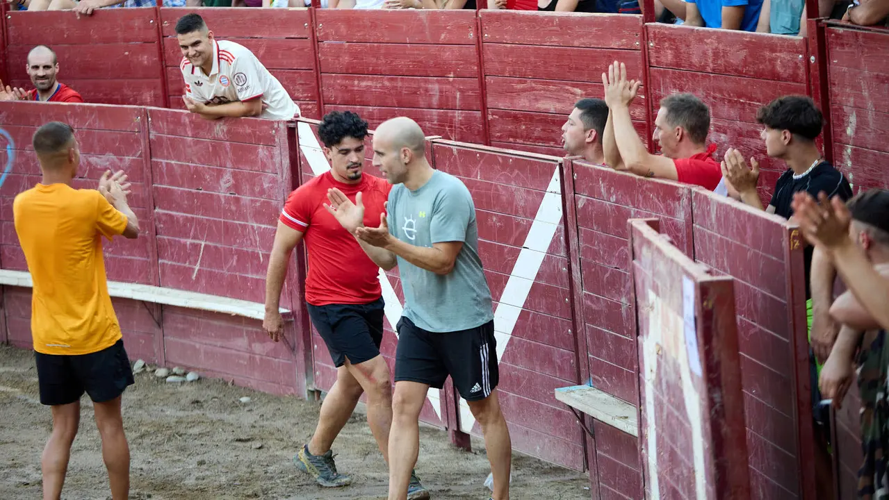 Vacas en la Plaza de Toros durante las fiestas de Arguedas 2025 tras el encierro del Estrecho con la ganaderia de Víctor Ustárroz de Arguedas. IÑIGO ALZUGARAY