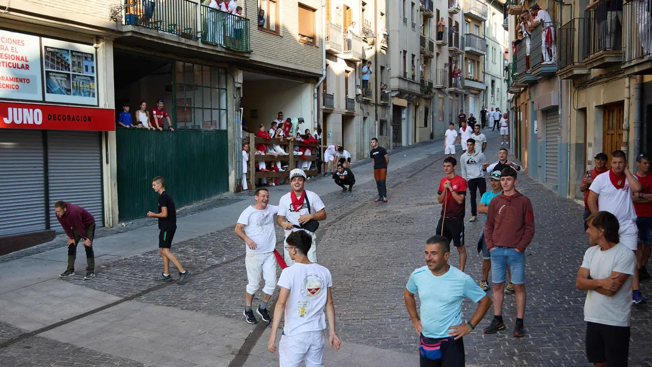 Encierro de novillos durante las Fiestas de Estella de 2025. IÑIGO ALZUGARAY