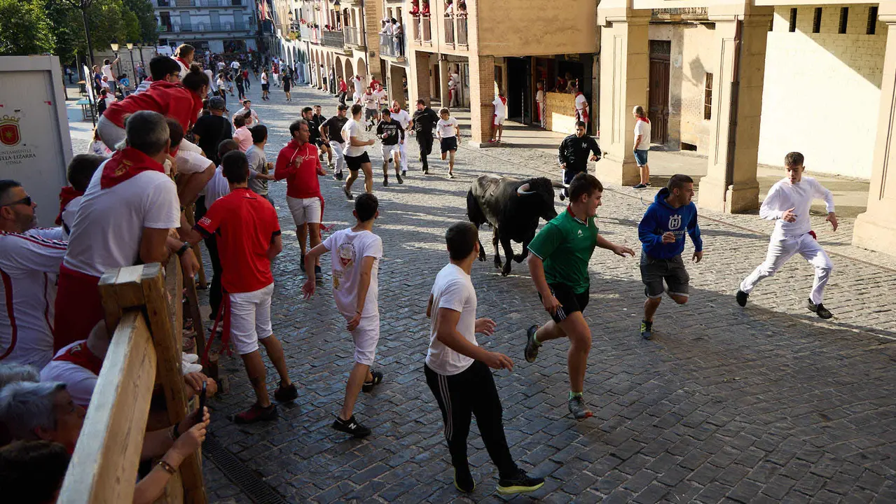 Encierro de novillos durante las Fiestas de Estella de 2025. IÑIGO ALZUGARAY