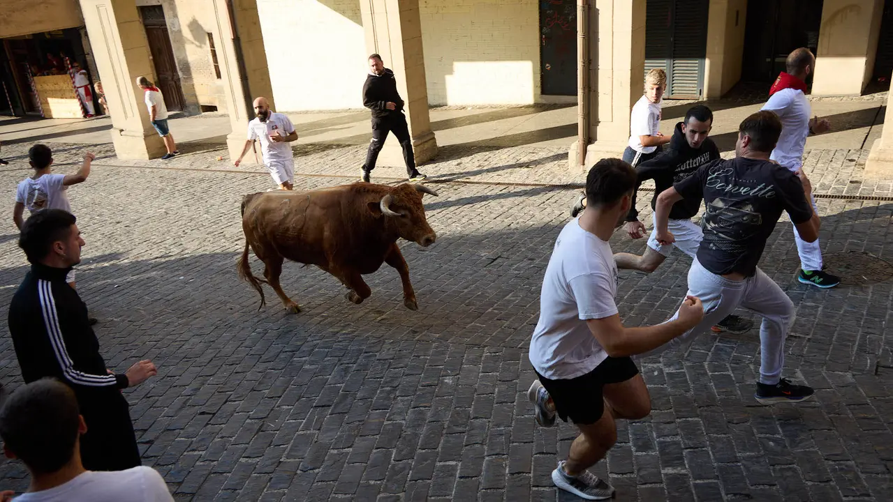 Encierro de novillos durante las Fiestas de Estella de 2025. IÑIGO ALZUGARAY