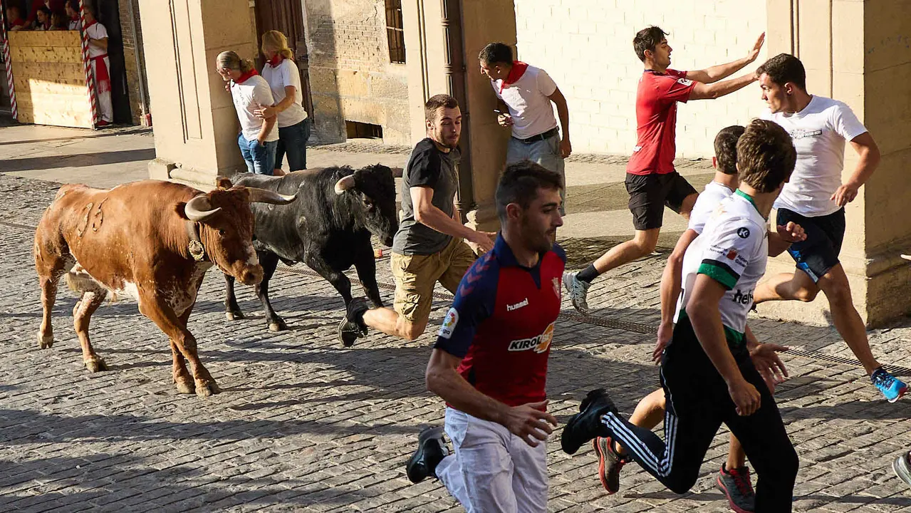 Encierro de novillos durante las Fiestas de Estella de 2025. IÑIGO ALZUGARAY