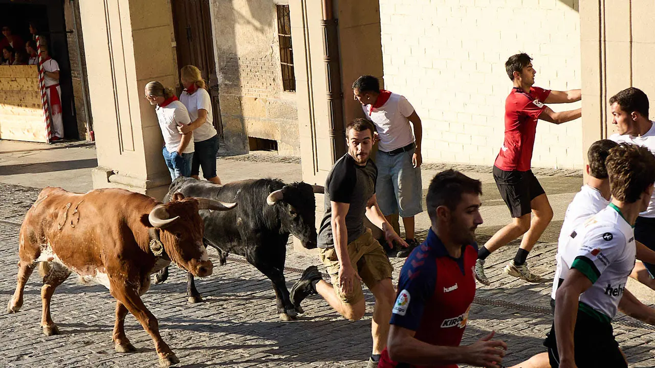 Encierro de novillos durante las Fiestas de Estella de 2025. IÑIGO ALZUGARAY