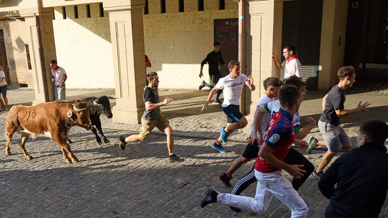 Encierro de novillos durante las Fiestas de Estella de 2025. IÑIGO ALZUGARAY