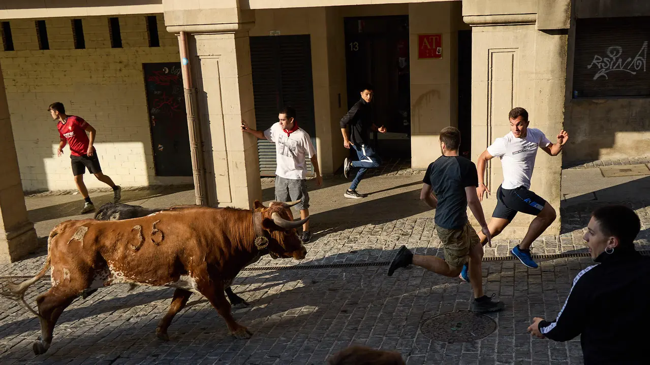 Encierro de novillos durante las Fiestas de Estella de 2025. IÑIGO ALZUGARAY
