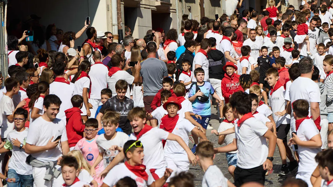 Encierro infantil de bueyes durante las Fiestas de Estella de 2025. IÑIGO ALZUGARAY