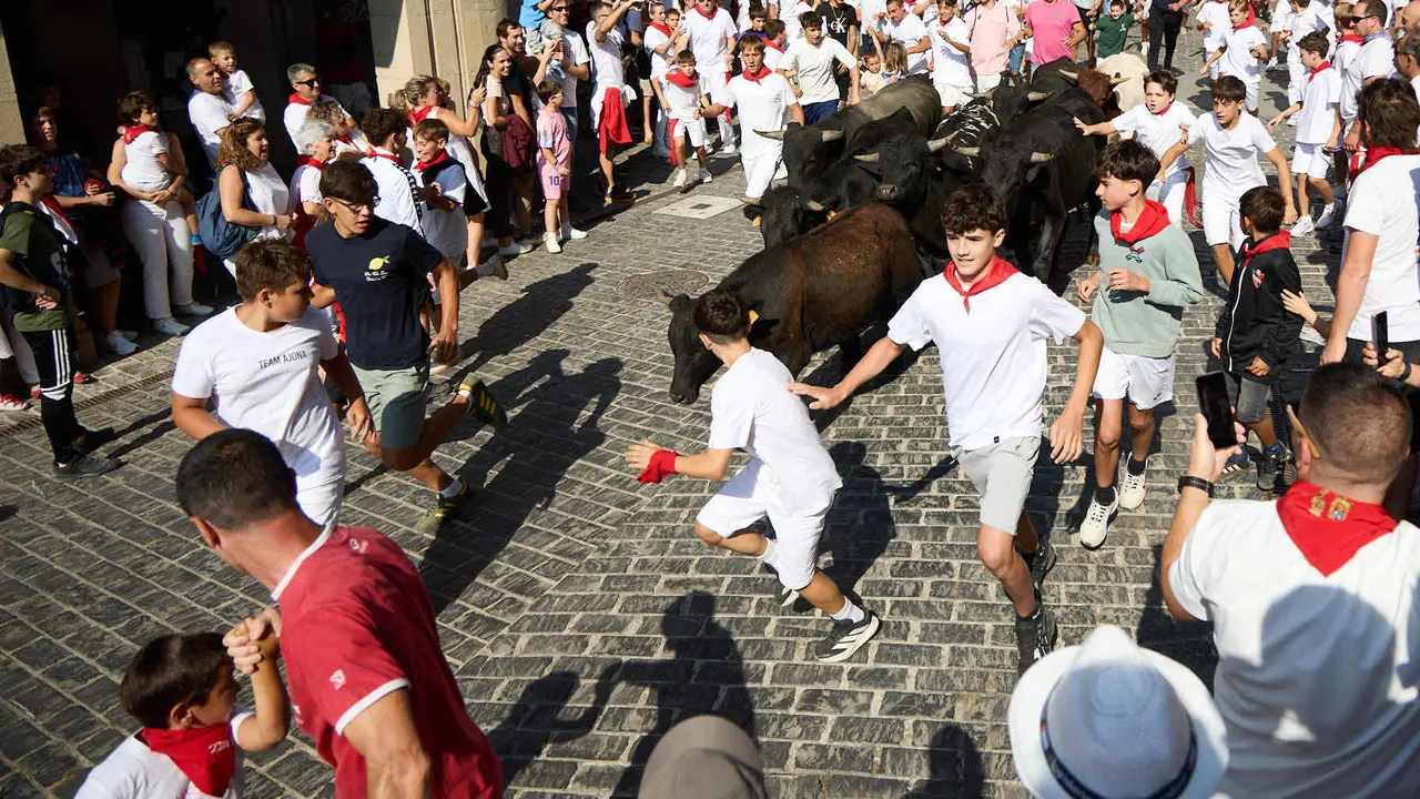 Encierro infantil de bueyes durante las Fiestas de Estella de 2025. IÑIGO ALZUGARAY