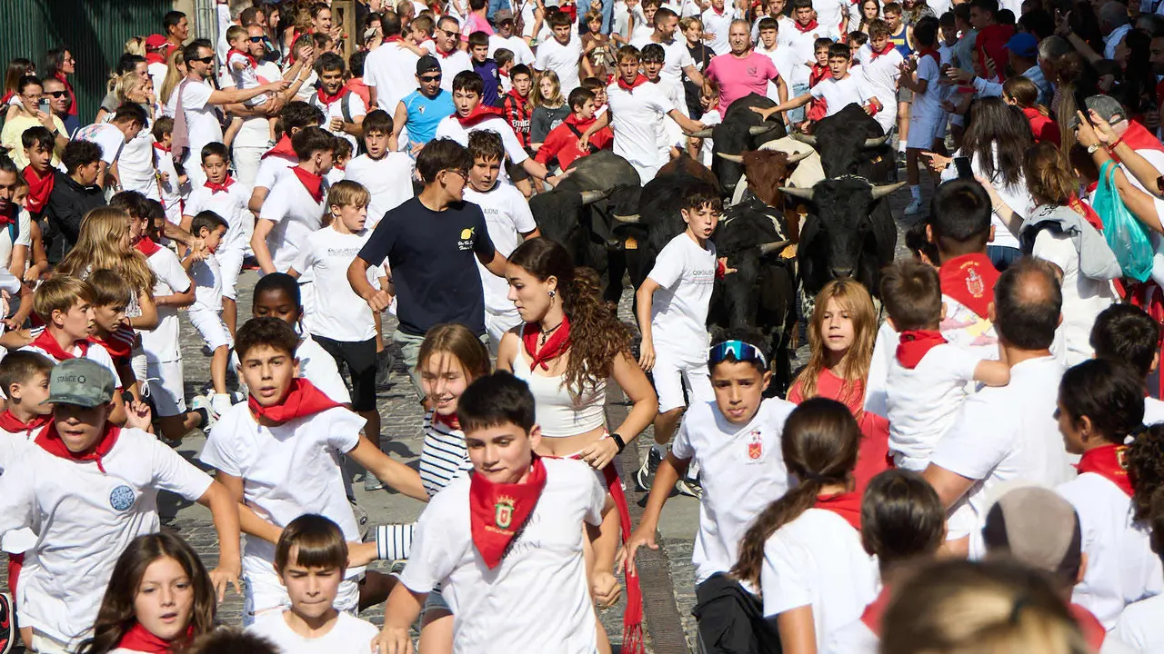 Encierro infantil de bueyes durante las Fiestas de Estella de 2025. IÑIGO ALZUGARAY