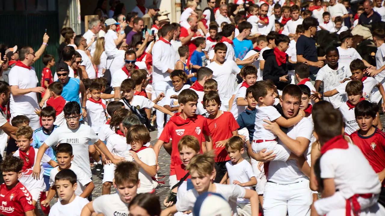 Encierro infantil de bueyes durante las Fiestas de Estella de 2025. IÑIGO ALZUGARAY