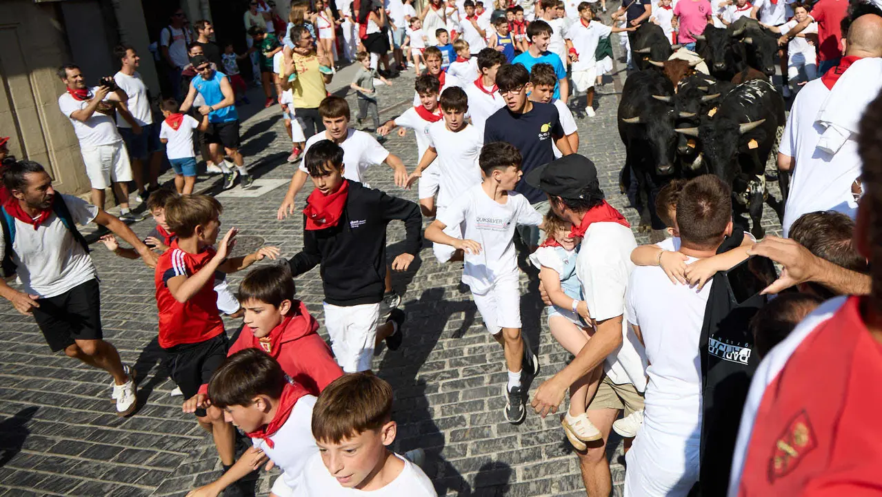 Encierro infantil de bueyes durante las Fiestas de Estella de 2025. IÑIGO ALZUGARAY