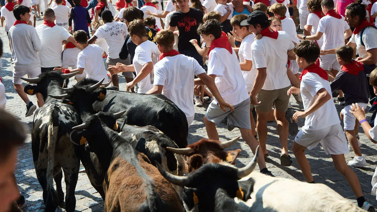Encierro infantil de bueyes durante las Fiestas de Estella de 2025. IÑIGO ALZUGARAY