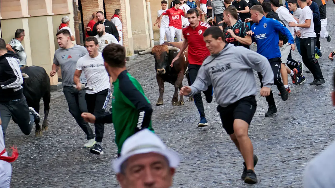 Encierrillo de novillos en fiestas de Estella del 6 de agosto de 2025. IRANZU LARRASOAÑA