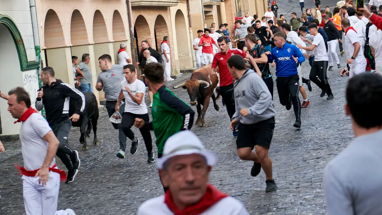 Encierrillo de novillos en fiestas de Estella del 6 de agosto de 2025. IRANZU LARRASOAÑA