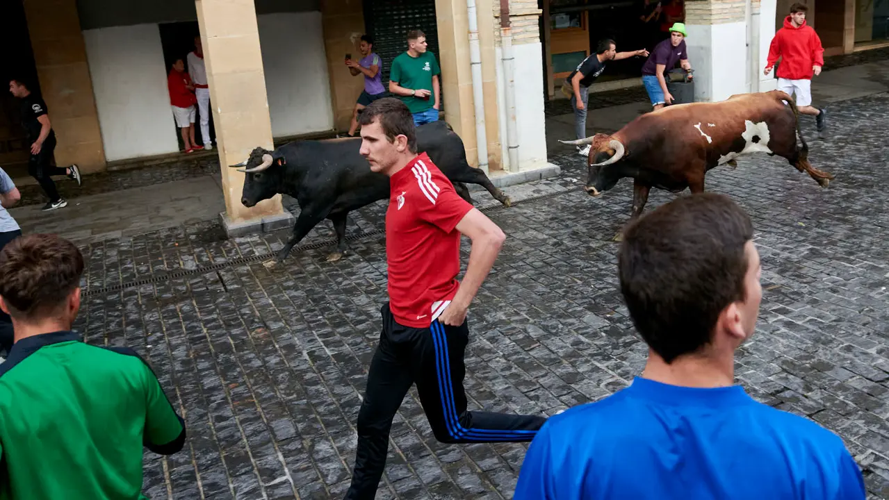 Encierrillo de novillos en fiestas de Estella del 6 de agosto de 2025. IRANZU LARRASOAÑA