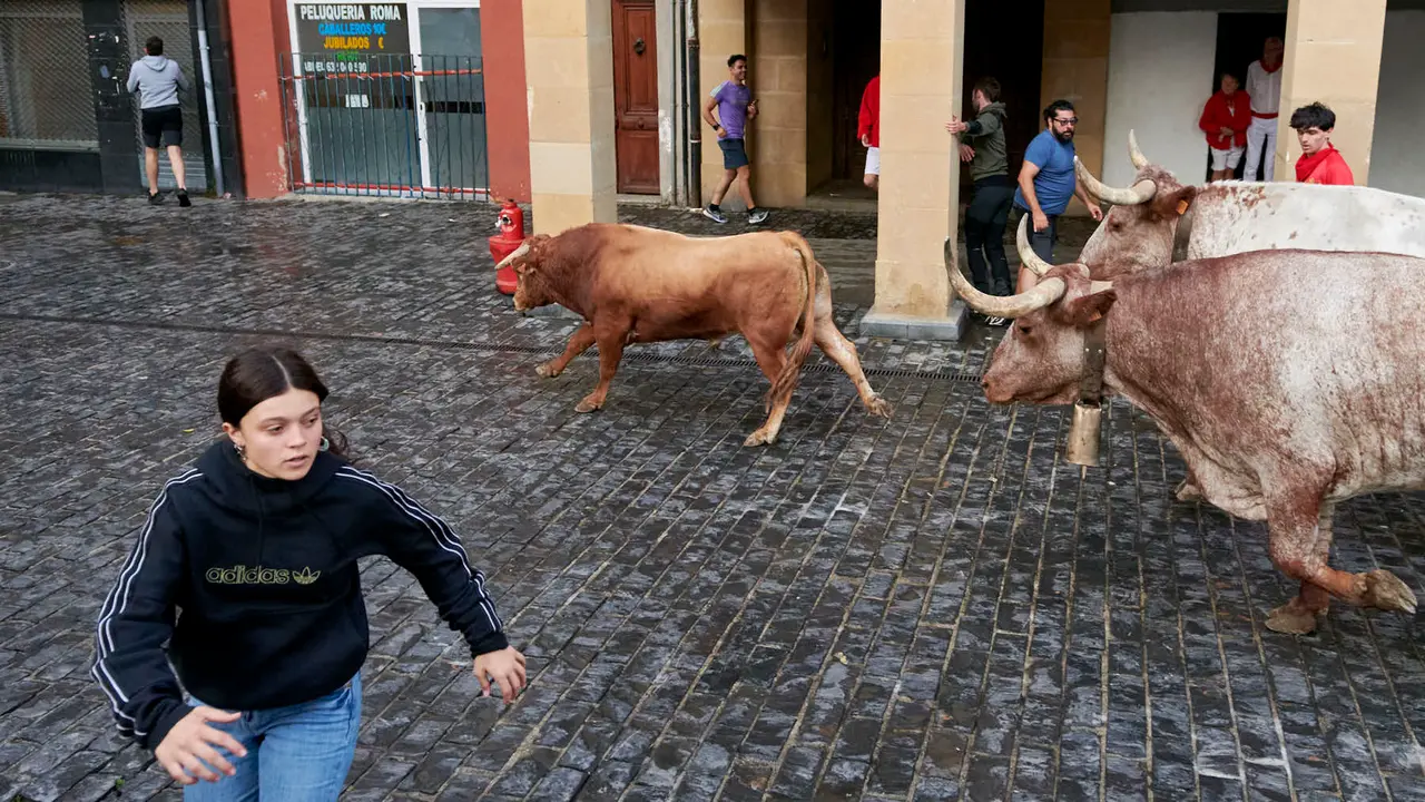 Encierrillo de novillos en fiestas de Estella del 6 de agosto de 2025. IRANZU LARRASOAÑA