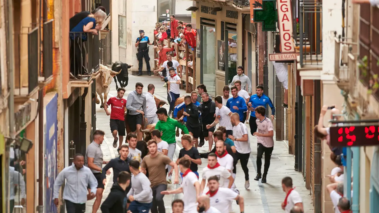 Encierro de novillos en Fiestas de Estella 2025 del 6 de agosto. IRANZU LARRASOAÑA