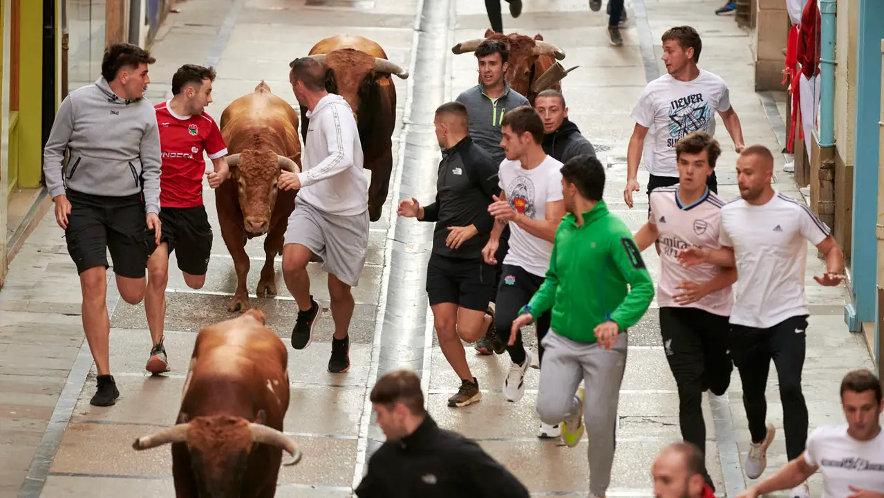 Encierro de novillos en Fiestas de Estella 2025 del 6 de agosto. IRANZU LARRASOAÑA