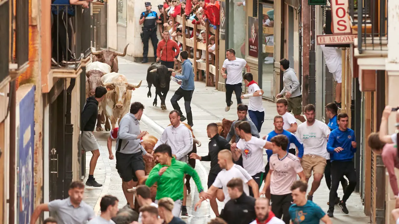 Encierro de novillos en Fiestas de Estella 2025 del 6 de agosto. IRANZU LARRASOAÑA