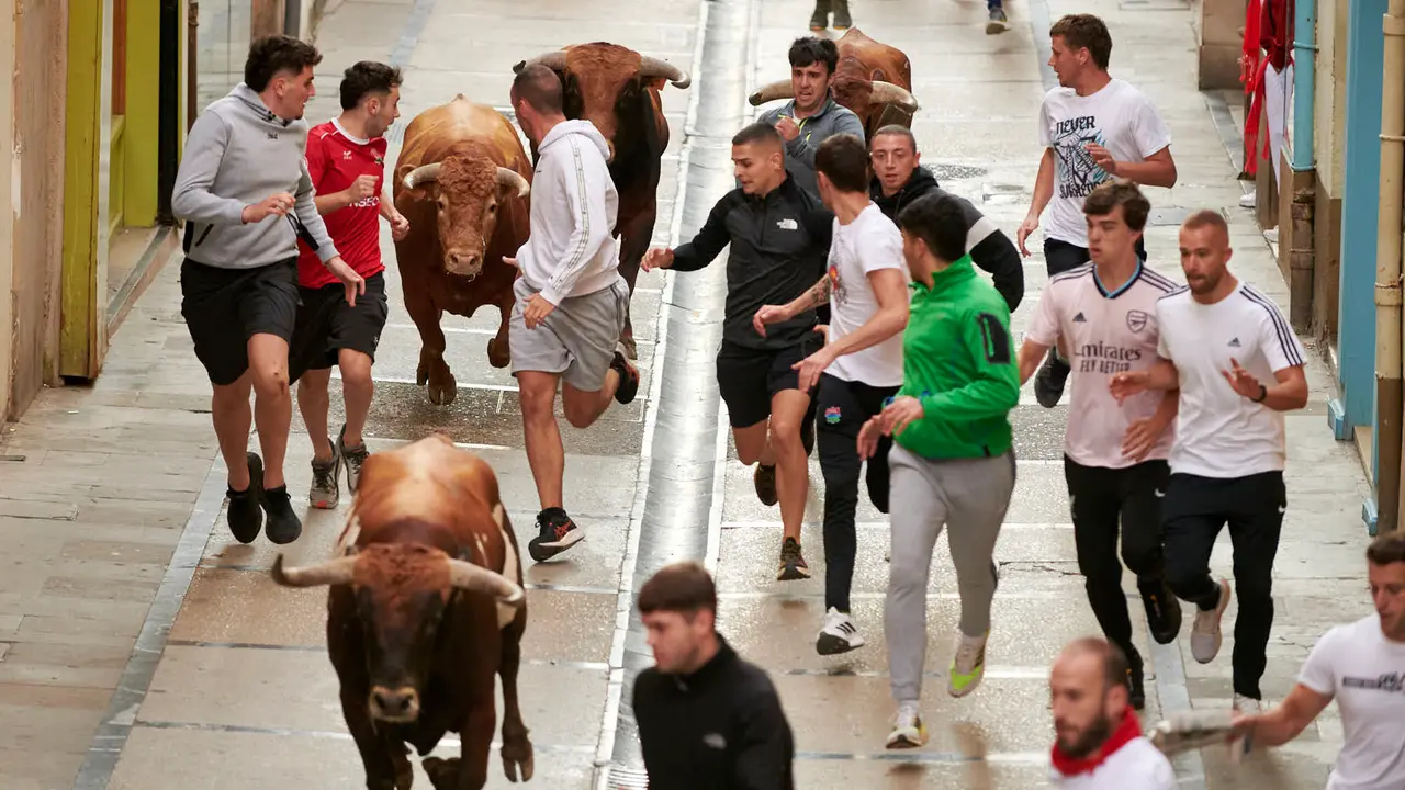 Encierro de novillos en Fiestas de Estella 2025 del 6 de agosto. IRANZU LARRASOAÑA