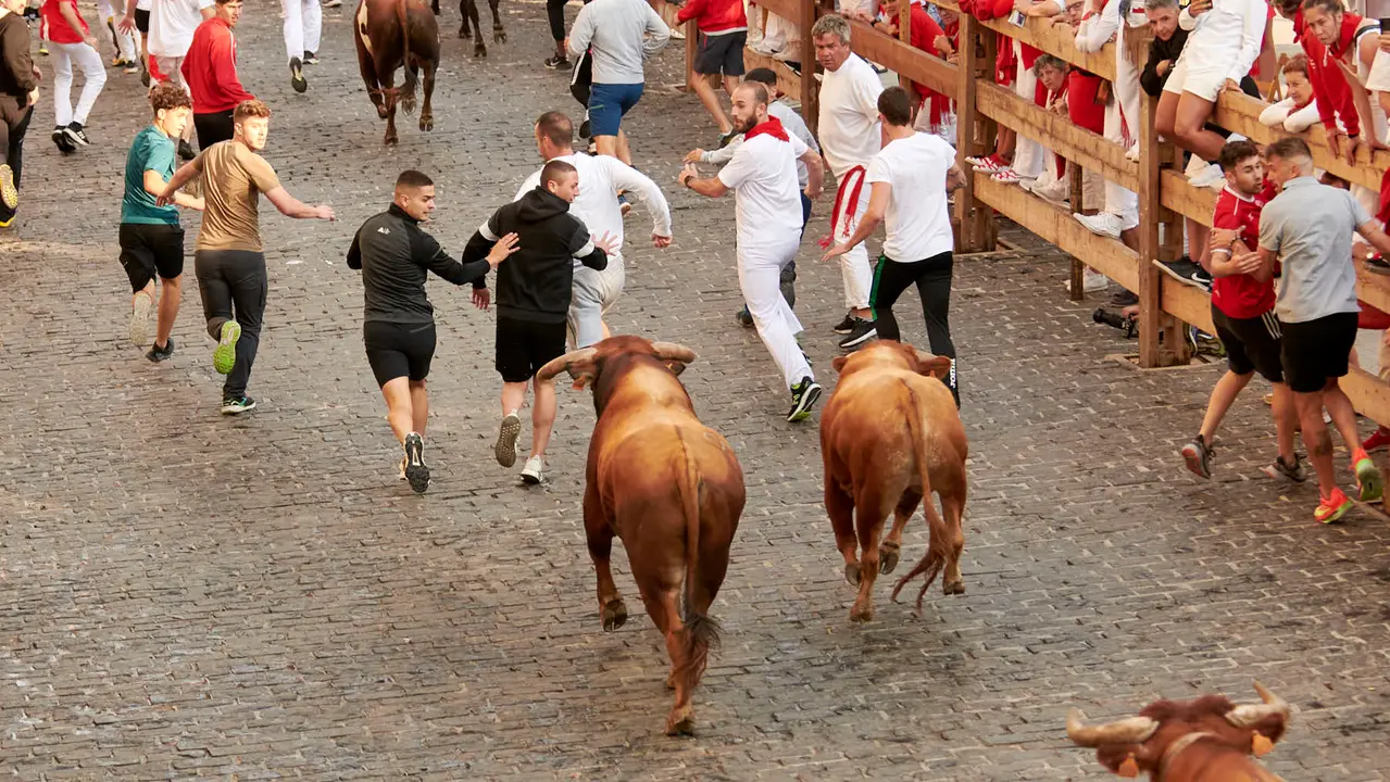 Encierro de novillos en Fiestas de Estella 2025 del 6 de agosto. IRANZU LARRASOAÑA