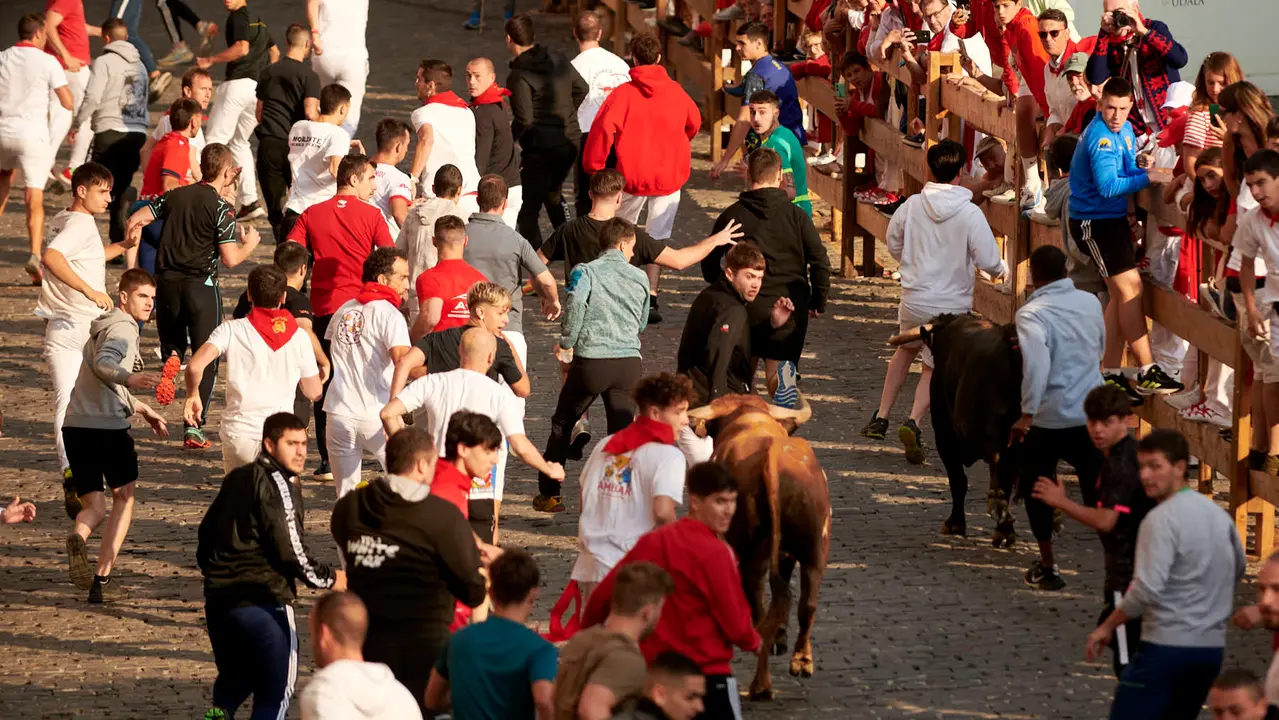 Encierro de novillos en Fiestas de Estella 2025 del 6 de agosto. IRANZU LARRASOAÑA