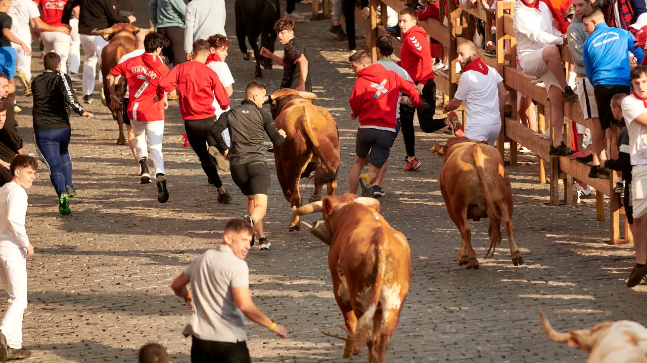 Encierro de novillos en Fiestas de Estella 2025 del 6 de agosto. IRANZU LARRASOAÑA