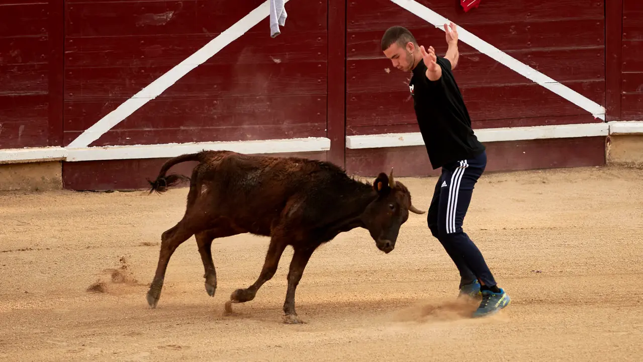 Vaquillas en Fiestas de Estella 2025 del 6 de agosto. IRANZU LARRASOAÑA