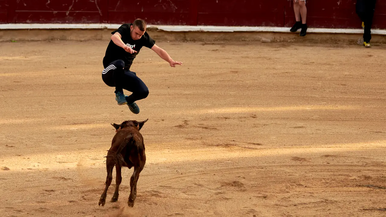 Vaquillas en Fiestas de Estella 2025 del 6 de agosto. IRANZU LARRASOAÑA