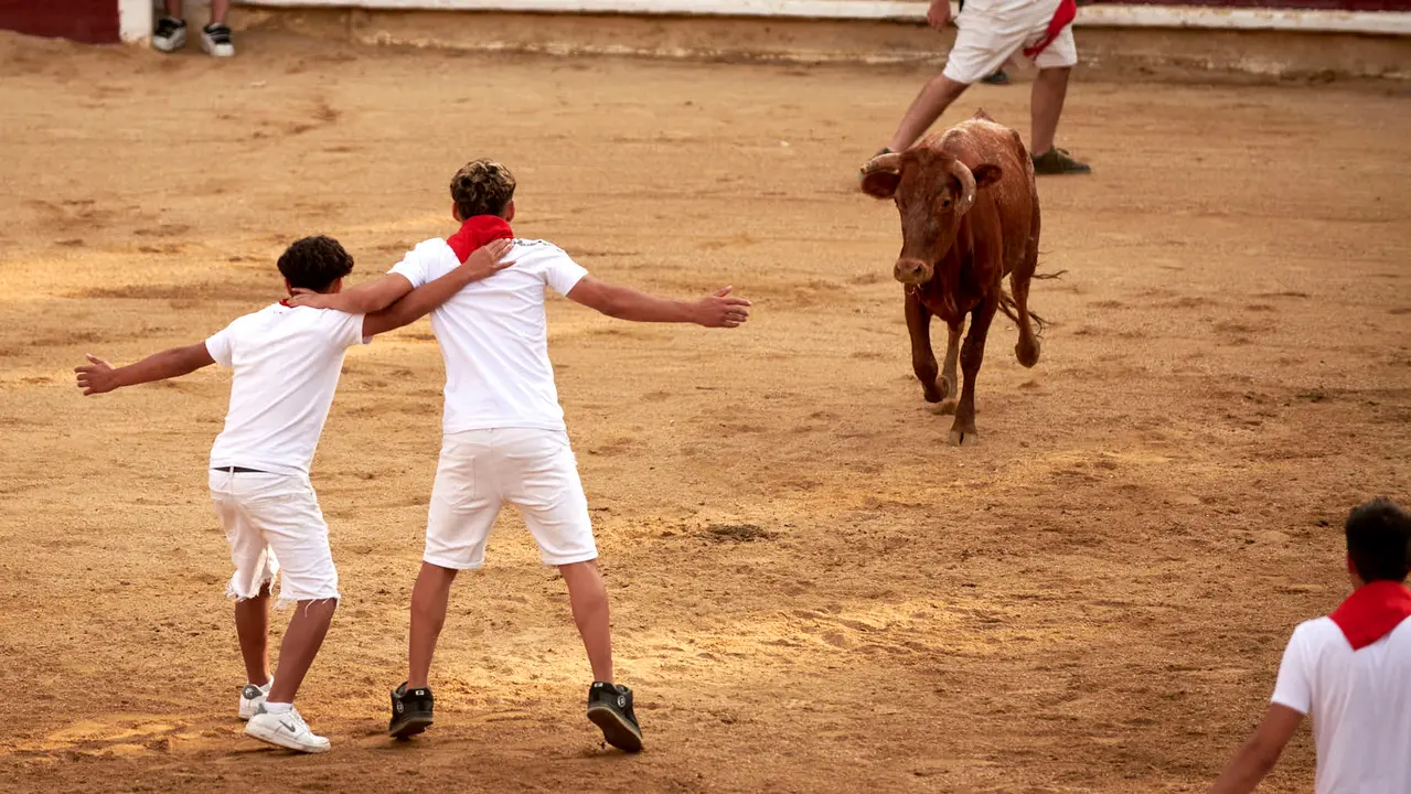 Vaquillas en Fiestas de Estella 2025 del 6 de agosto. IRANZU LARRASOAÑA