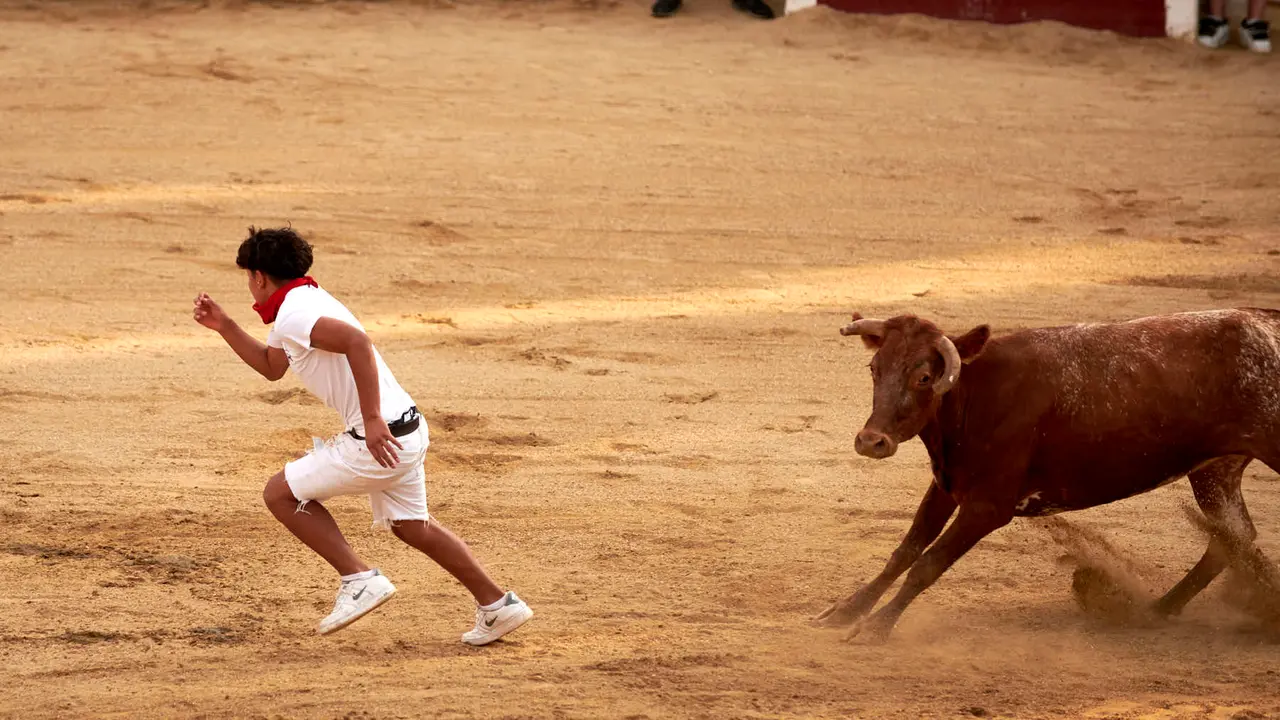 Vaquillas en Fiestas de Estella 2025 del 6 de agosto. IRANZU LARRASOAÑA