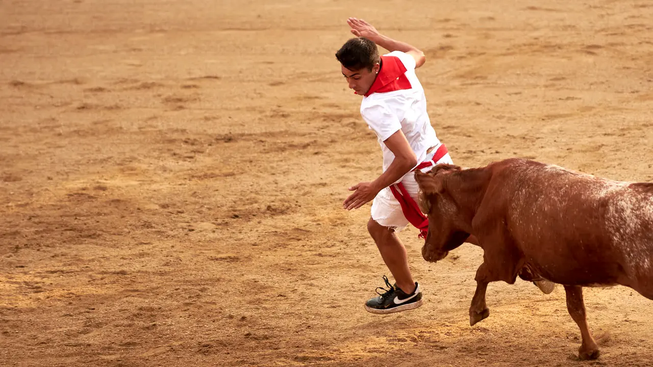 Vaquillas en Fiestas de Estella 2025 del 6 de agosto. IRANZU LARRASOAÑA