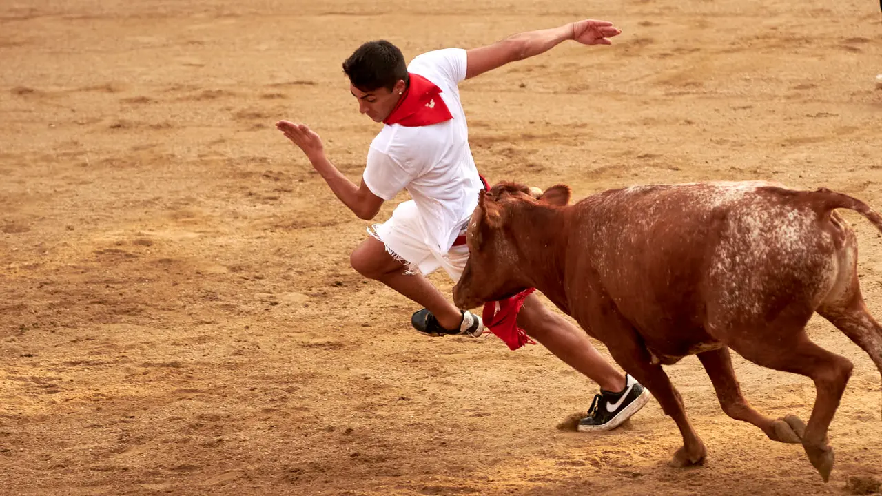 Vaquillas en Fiestas de Estella 2025 del 6 de agosto. IRANZU LARRASOAÑA