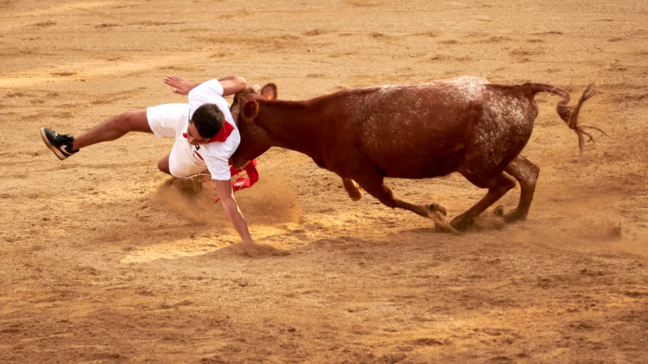 Vaquillas en Fiestas de Estella 2025 del 6 de agosto. IRANZU LARRASOAÑA