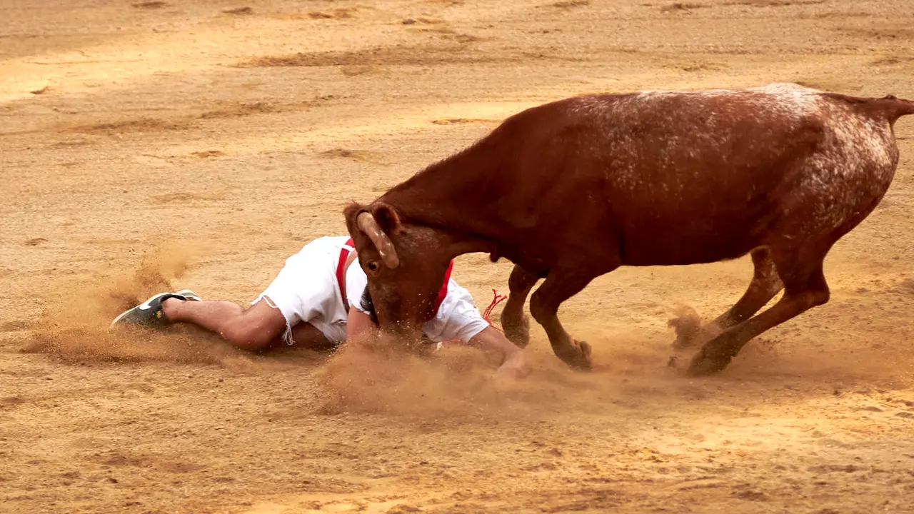 Vaquillas en Fiestas de Estella 2025 del 6 de agosto. IRANZU LARRASOAÑA