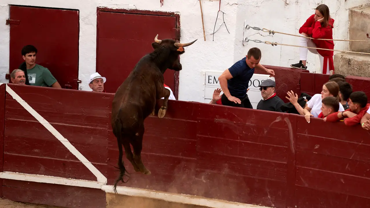 Vaquillas en Fiestas de Estella 2025 del 6 de agosto. IRANZU LARRASOAÑA