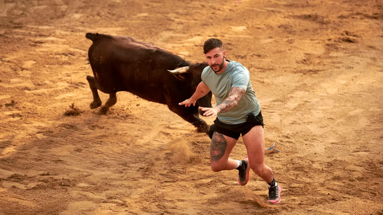 Vaquillas en Fiestas de Estella 2025 del 6 de agosto. IRANZU LARRASOAÑA