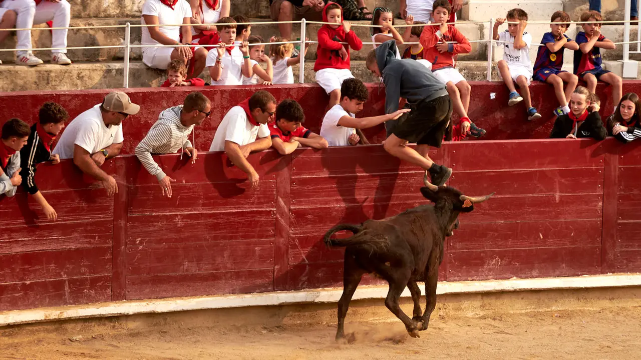 Vaquillas en Fiestas de Estella 2025 del 6 de agosto. IRANZU LARRASOAÑA