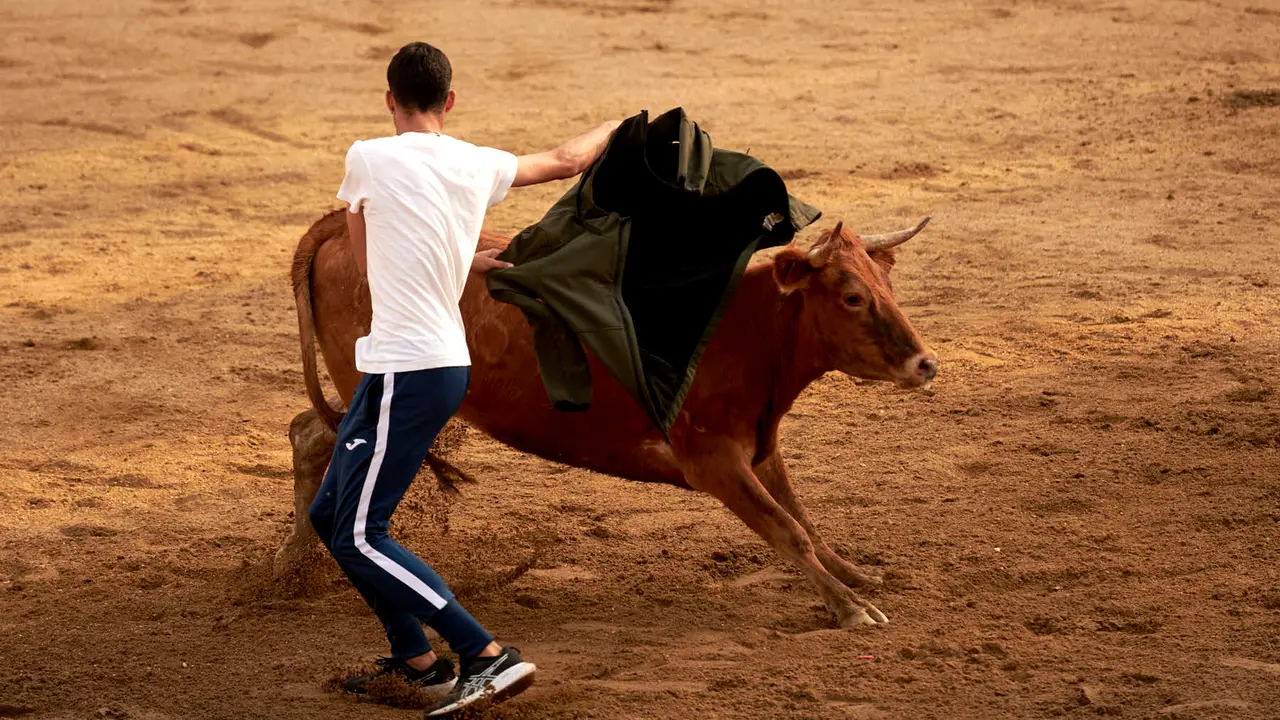 Vaquillas en Fiestas de Estella 2025 del 6 de agosto. IRANZU LARRASOAÑA