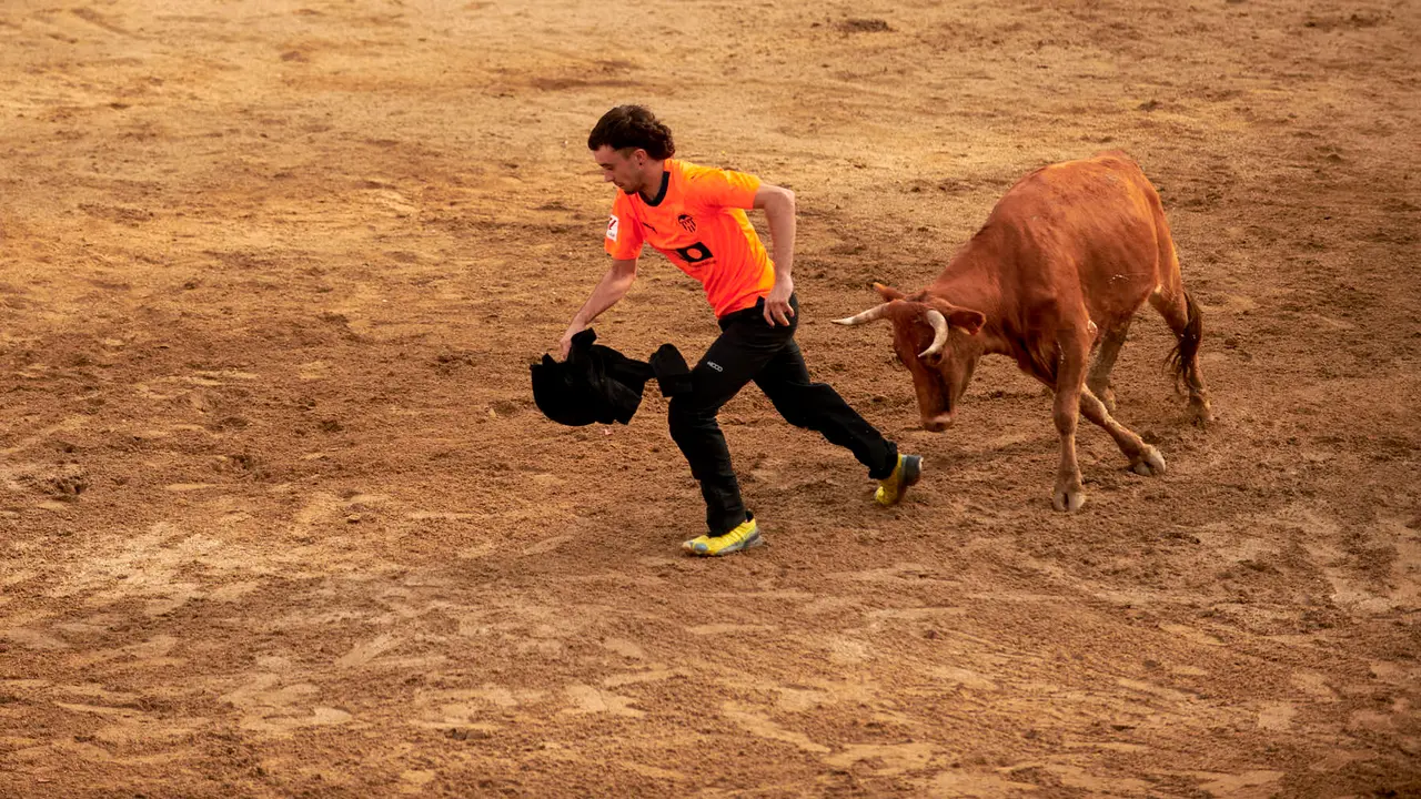 Vaquillas en Fiestas de Estella 2025 del 6 de agosto. IRANZU LARRASOAÑA