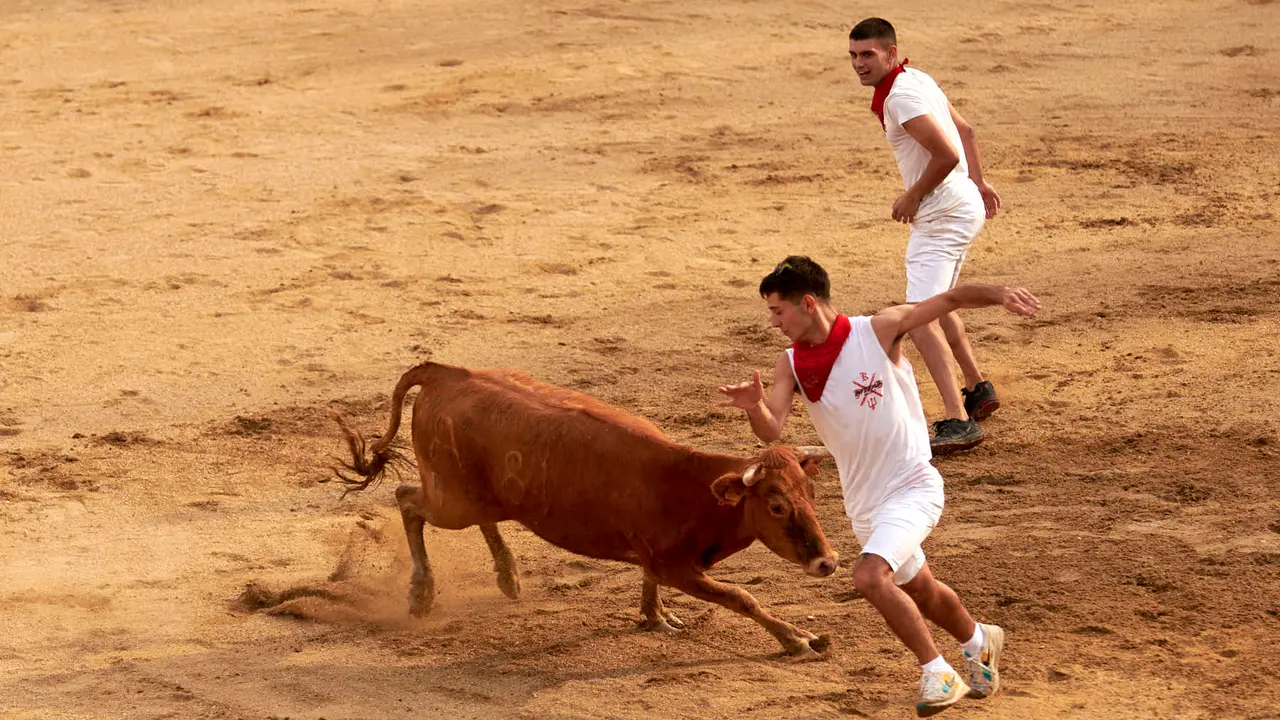 Vaquillas en Fiestas de Estella 2025 del 6 de agosto. IRANZU LARRASOAÑA