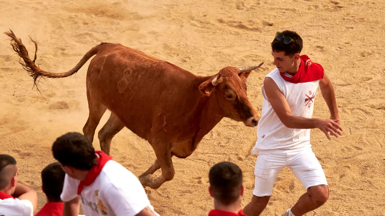 Vaquillas en Fiestas de Estella 2025 del 6 de agosto. IRANZU LARRASOAÑA